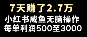 全网首发，7天赚了2.6万，2025利润超级高！-淘米帮