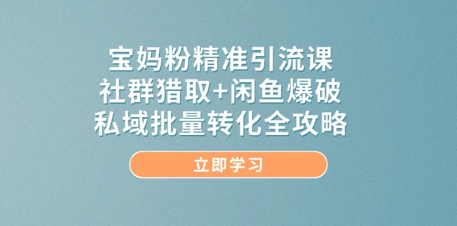 宝妈粉精准引流课，社群猎取+闲鱼爆破，私域批量转化全攻略-淘米帮