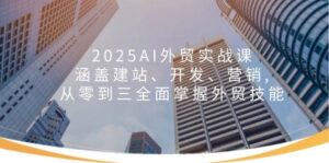 2025AI外贸实战课:涵盖建站、开发、营销, 从零到三全面掌握外贸技能-淘米帮