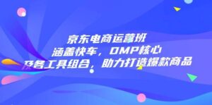 京东电商运营班：涵盖快车，DMP核心及各工具组合，助力打造爆款商品-淘米帮