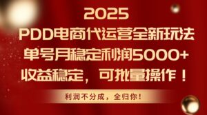 2025PDD电商代运营全新玩法，单号月稳定利润5000+，收益稳定，可批量操作-淘米帮