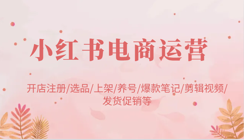 小红书电商运营：开店注册/选品/上架/养号/爆款笔记/剪辑视频/发货促销等-淘米帮