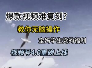 视频号4.0重磅上线,爆款视频难复刻?教你无脑操作宝妈学生党的福利【揭秘】-淘米帮