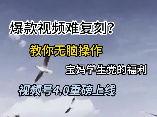 视频号4.0重磅上线，爆款视频难复刻？教你无脑操作宝妈学生党的福利【揭秘】-淘米帮