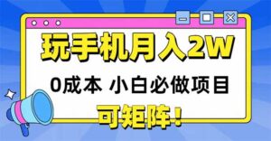 玩玩手机月入20000+，0成本小白必做项目，可矩阵-淘米帮