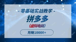 拼多多虚拟电商,零基础实战教学,快速打爆商品,新手也能月入10000+-淘米帮