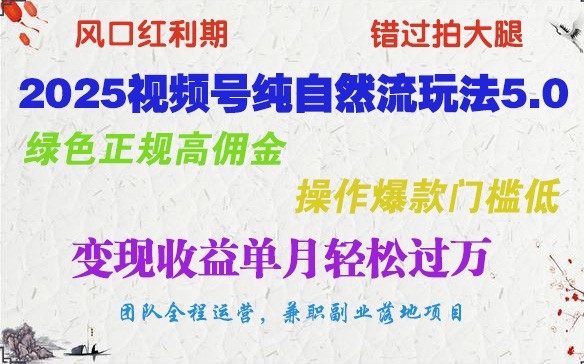 2025视频号纯自然流玩法5.0，绿色正规高佣金，操作爆款门槛低，变现收益单月轻松过万-淘米帮