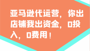 亚马逊代运营,你出店铺我出资金,0投入,0费用,无责任每天300分红,赢亏我承担-淘米帮
