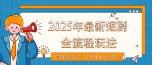 2025年最新短剧玩法,全流程实操,小白轻松上手,视频号抖音同步分发,单日收入500+-淘米帮