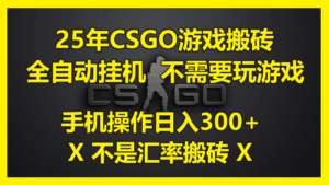 25年CSGO游戏搬砖，全自动挂机，不需要玩游戏，手机操作日入300+。(不…-淘米帮