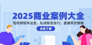 2025商业案例大全,短视频矩阵运营,私域裂变技巧,直播带货策略-淘米帮