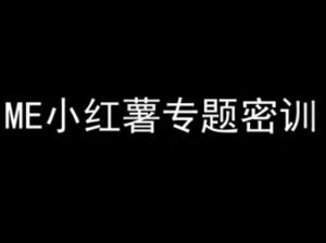 ME小红薯专题密训-小红书电商教程-淘米帮