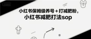 小红书保姆级养号+打减肥粉，小红书减肥打法sop-淘米帮