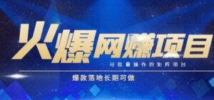 火爆全自动搬砖项目，可批量矩阵操作，爆款落地长期可做【揭秘】-淘米帮