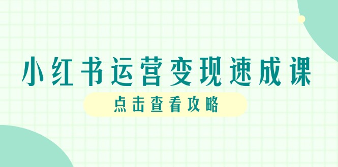 小红书运营变现速成课，账号搭建到暴力起号，个人IP全流程指南-淘米帮