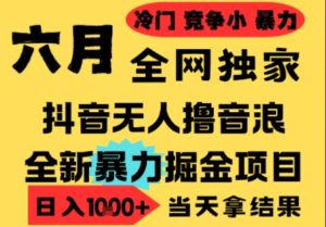 25年6月高爆抖音无人直播最新撸音浪掘金项目，小白可做，无脑日入1k+，门槛低可批量矩阵【揭秘】-淘米帮