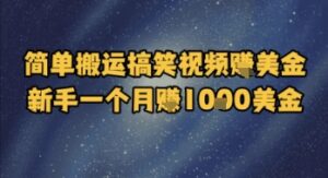 简单搬运搞笑视频挣美金,新手一个月入1k美金-淘米帮