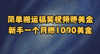 简单搬运搞笑视频挣美金，新手一个月入1k美金-淘米帮