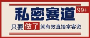 小红书某音私密赛道引流获客 自热矩阵日引200+【揭秘】-淘米帮