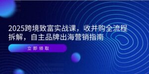 2025跨境致富实战课，收并购全流程拆解，自主品牌出海营销指南-淘米帮