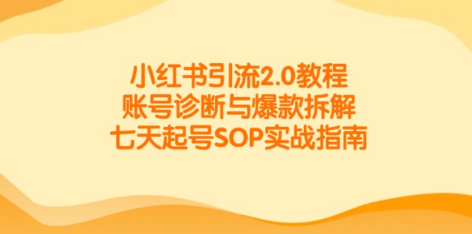 小红书引流2.0教程，账号诊断与爆款拆解，七天起号SOP实战指南-淘米帮