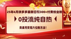 25年6月拼多多最新日引300+付费创业粉，0投流纯自热 卖课月变现六位数方法-淘米帮