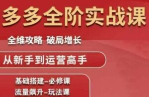 拼多多全阶实战课程,全维攻略,破局增长,从新手到运营高手-淘米帮