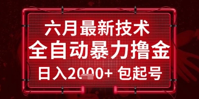 六月最新技术全自动暴力撸金，稳定日入2k+包起号，长期稳定【揭秘】-淘米帮