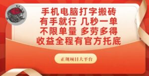 手机电脑打字搬砖，副业可发展主业来做蓝海项目，有手就行，几秒一单，不限单量，多劳多得【揭秘】-淘米帮
