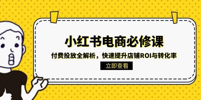 小红书电商必修课：付费投放全解析，快速提升店铺ROI与转化率-淘米帮