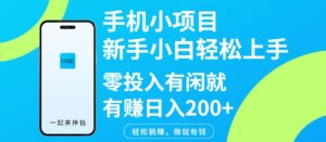 手机小项目新手小白轻松上手零投入有闲就有赚日入200+-淘米帮