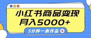 小红书字幕作品玩法，商单变现月入5000+，5分钟一条作品-淘米帮
