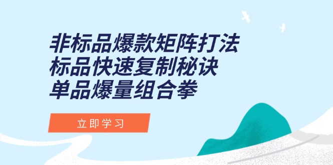 非标品爆款矩阵打法，标品快速复制秘诀，单品爆量组合拳-淘米帮