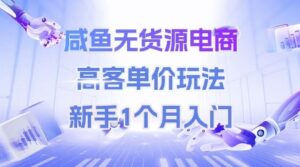 咸鱼无货源电商，高客单价玩法，新手1个月入门-淘米帮