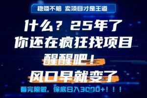 什么?25年你还在疯狂找项目做,醒醒吧,看完这些你全都懂了!【揭秘】-淘米帮