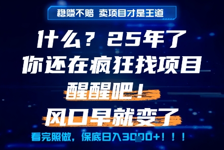 什么？25年你还在疯狂找项目做，醒醒吧，看完这些你全都懂了！【揭秘】-淘米帮