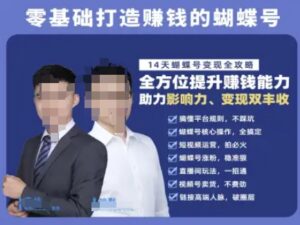 蝴蝶号专栏-视频号运营教程,零基础打造挣钱的蝴蝶号,14天蝴蝶号变现全攻略-淘米帮