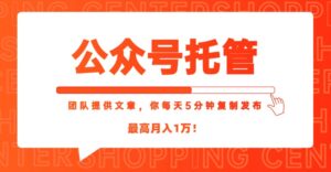 【公众号托管 】我提供文章,你每天5分钟复制发布,最高月入1W-淘米帮