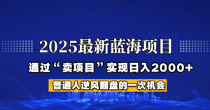2025年蓝海项目，如何通过“网创项目”日入2000+-淘米帮