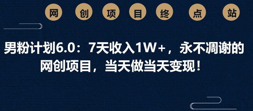 男粉计划6.0：7天收入1W+，永不凋谢的网创项目，当天做当天变现！-淘米帮