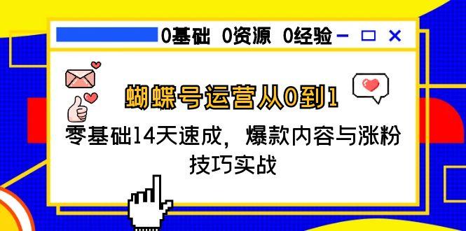 蝴蝶号运营从0到1，零基础14天速成，爆款内容与涨粉技巧实战-淘米帮