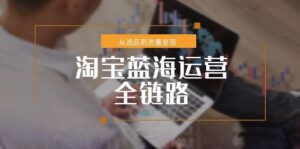 淘宝蓝海运营全链路,从选品到流量变现,小类目突围完整方案-淘米帮