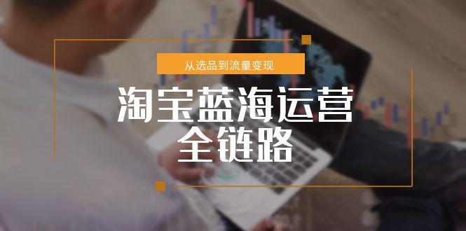 淘宝蓝海运营全链路，从选品到流量变现，小类目突围完整方案-淘米帮