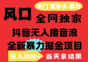 25年6月高爆抖音无人直播最新撸音浪掘金项目,解放双手小白可做,无脑日入1k+,门槛低【揭秘】-淘米帮
