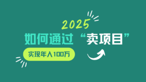 2025年如何通过“卖项目”实现年入100w-淘米帮