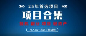 实操项目合集 挂机类型 直播类型 轻资产创业类型 课程分享各项目介绍和原理-淘米帮