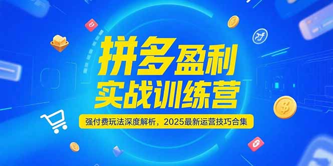 拼多多盈利实战训练营，强付费玩法深度解析，2025运营技巧合集-更新6月-淘米帮
