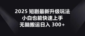2025短剧最新升级玩法,小白也能快速上手,无脑搬运日入300+-淘米帮