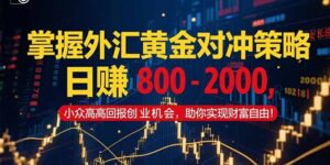 掌握外汇黄金对冲策略，日赚 800 – 2000，小众高回报创业机会，助你实…-淘米帮