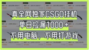 真全网独家CSGO挂机,单日捡漏1000+,不用电脑,不用养号-淘米帮